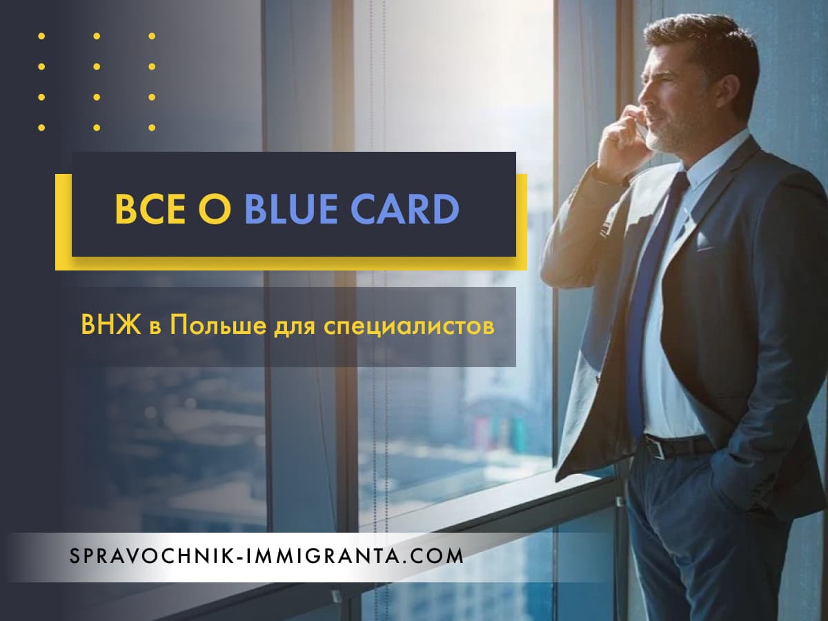Карта побыту для высококвалифицированных специалистов - всё о Blue Card (niebieska karta UE)