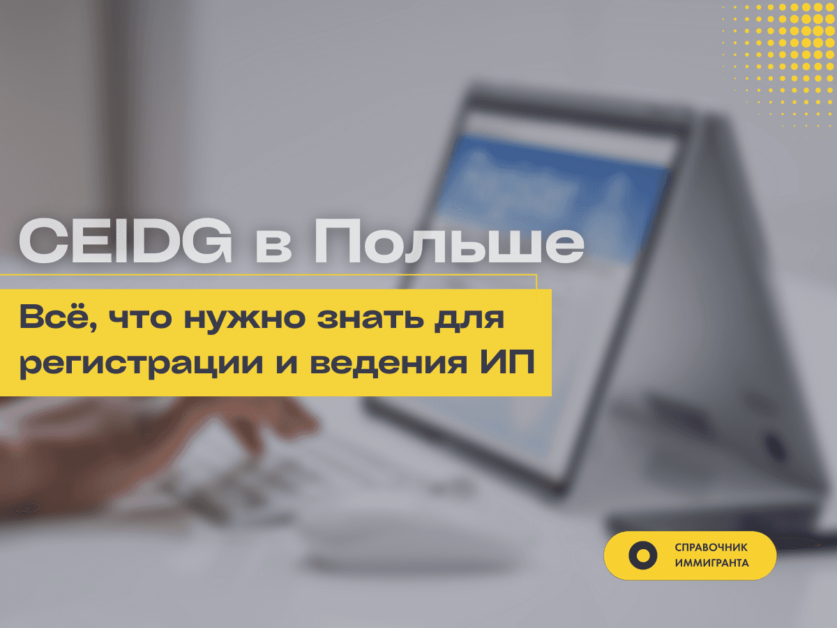 CEIDG в Польше - что это такое? Всё, что нужно знать для регистрации и ведения ИП