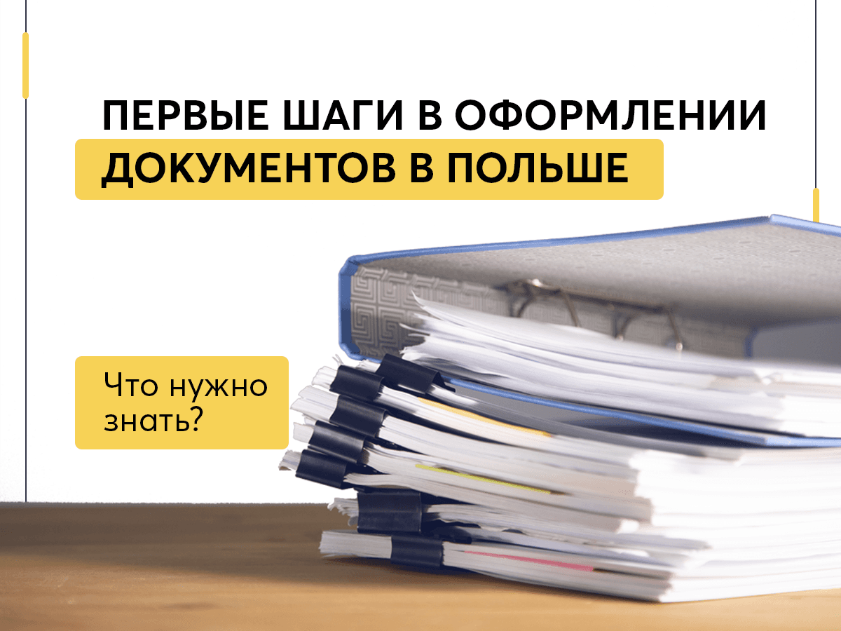 Первые шаги в оформлении документов в Польше – Что нужно знать?