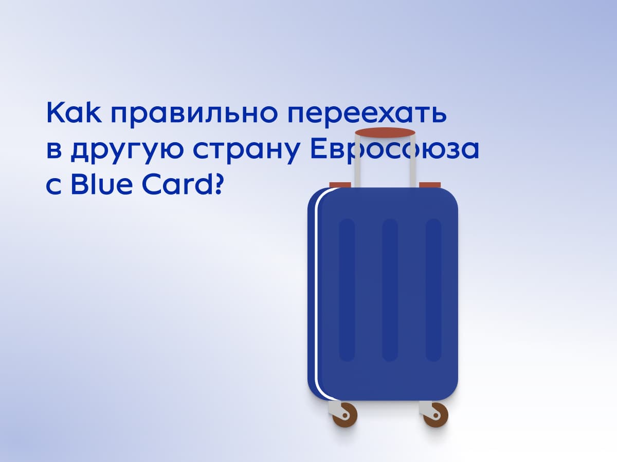 Как переехать с Blue Card другой страны в Польшу? - оформление Blue Card